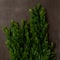 Hanging Ruscus Bush by Ashland®